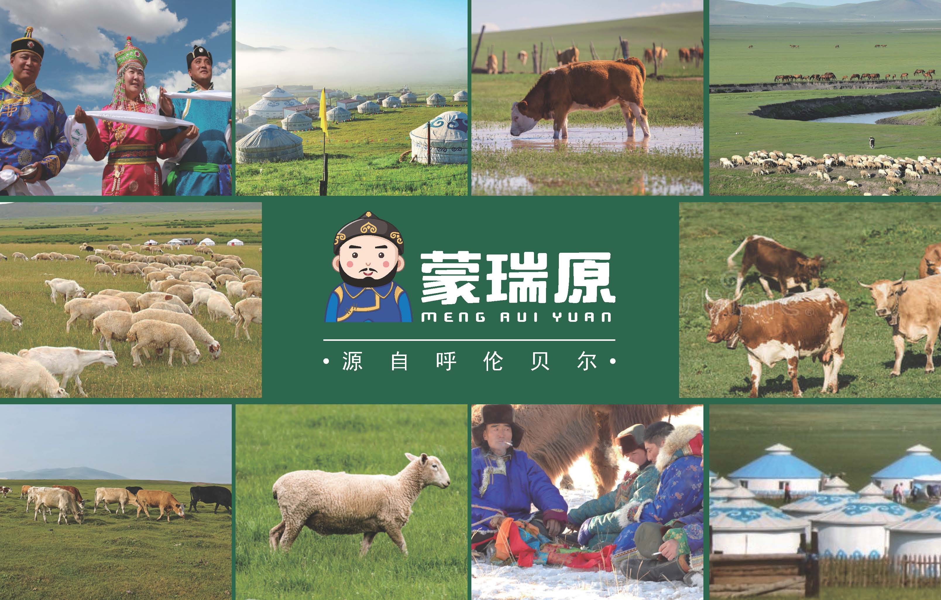 蒙瑞原品牌設(shè)計方案_頁面_05.jpg