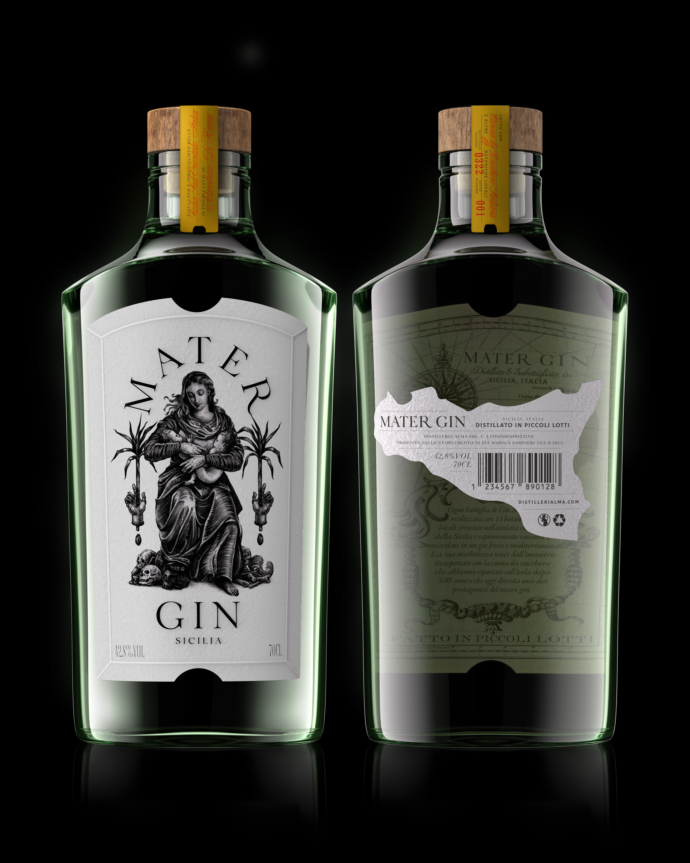 Mater Gin 2.jpg