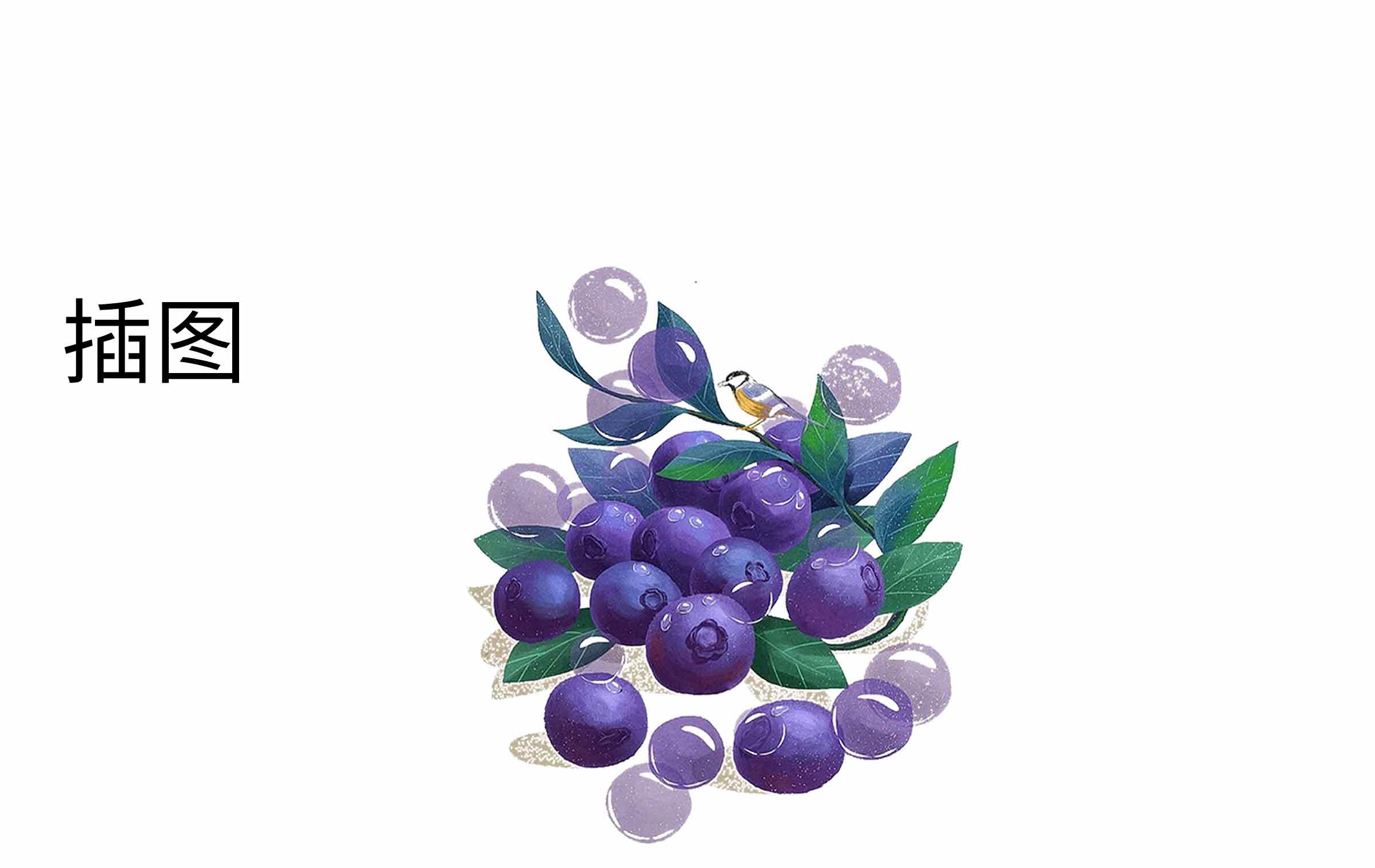 DHA藻油_04.jpg