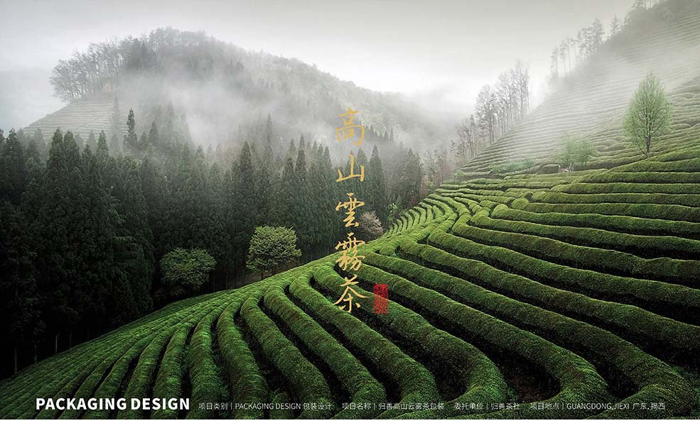 歸善茶-1.jpg