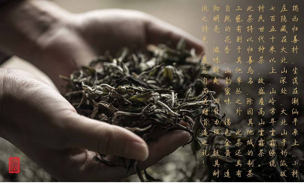 歸善茶-2.jpg
