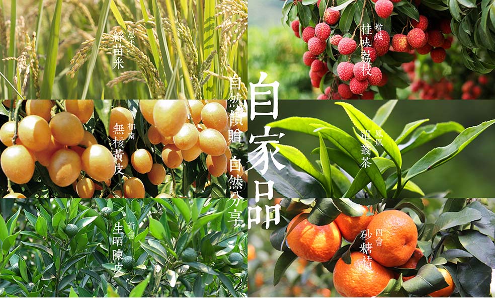 3-自家品.jpg