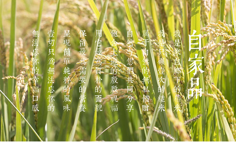 4-米.jpg