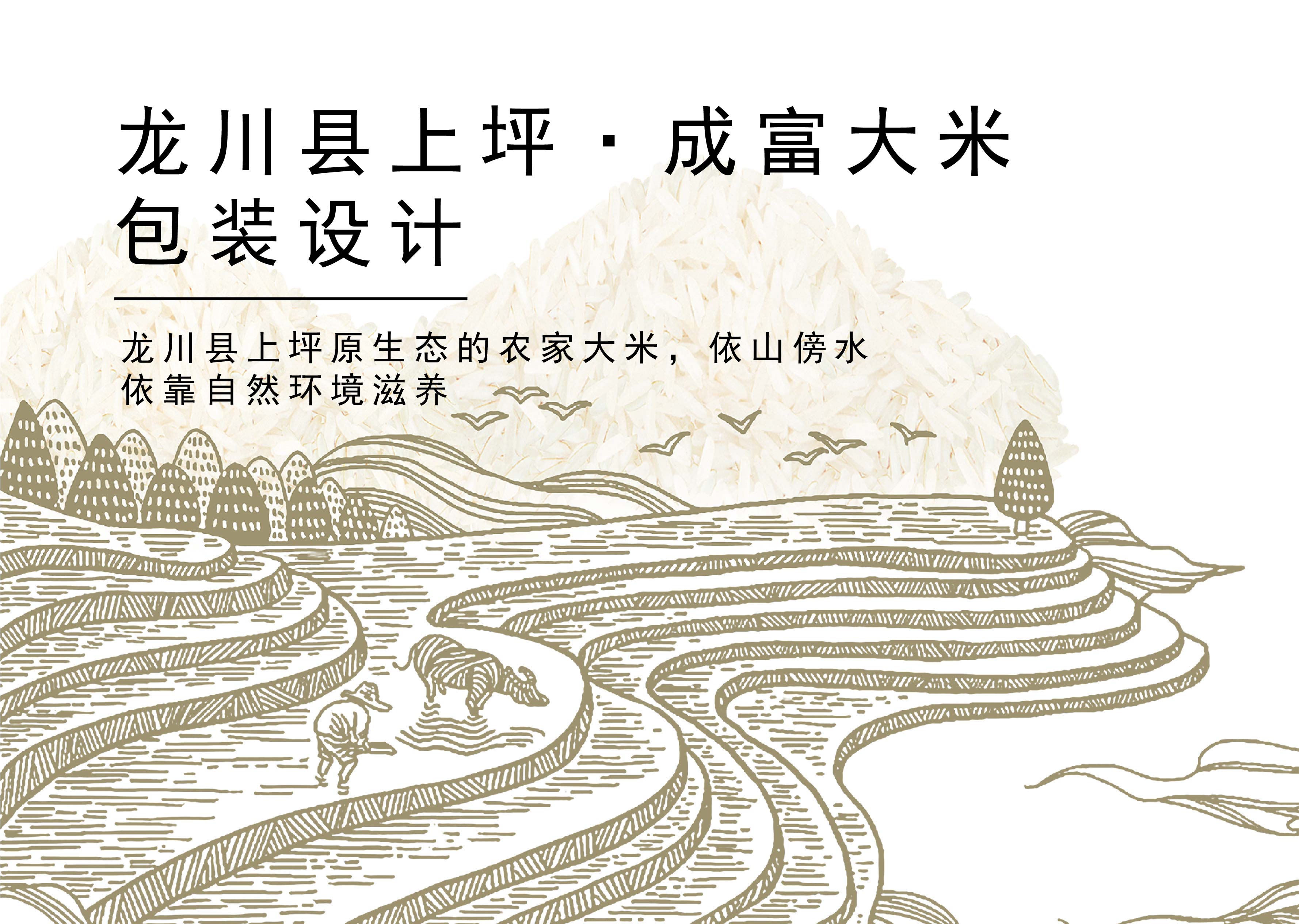 成富大米包裝設(shè)計(jì)_畫板 1.jpg