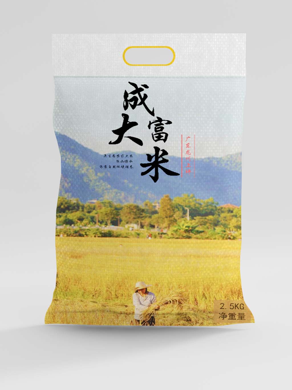 成富大米1.jpg