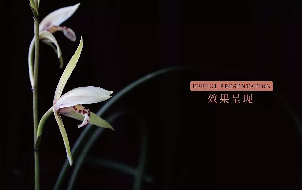 01xgldhaumo10kjthlw8cm3531.jpg