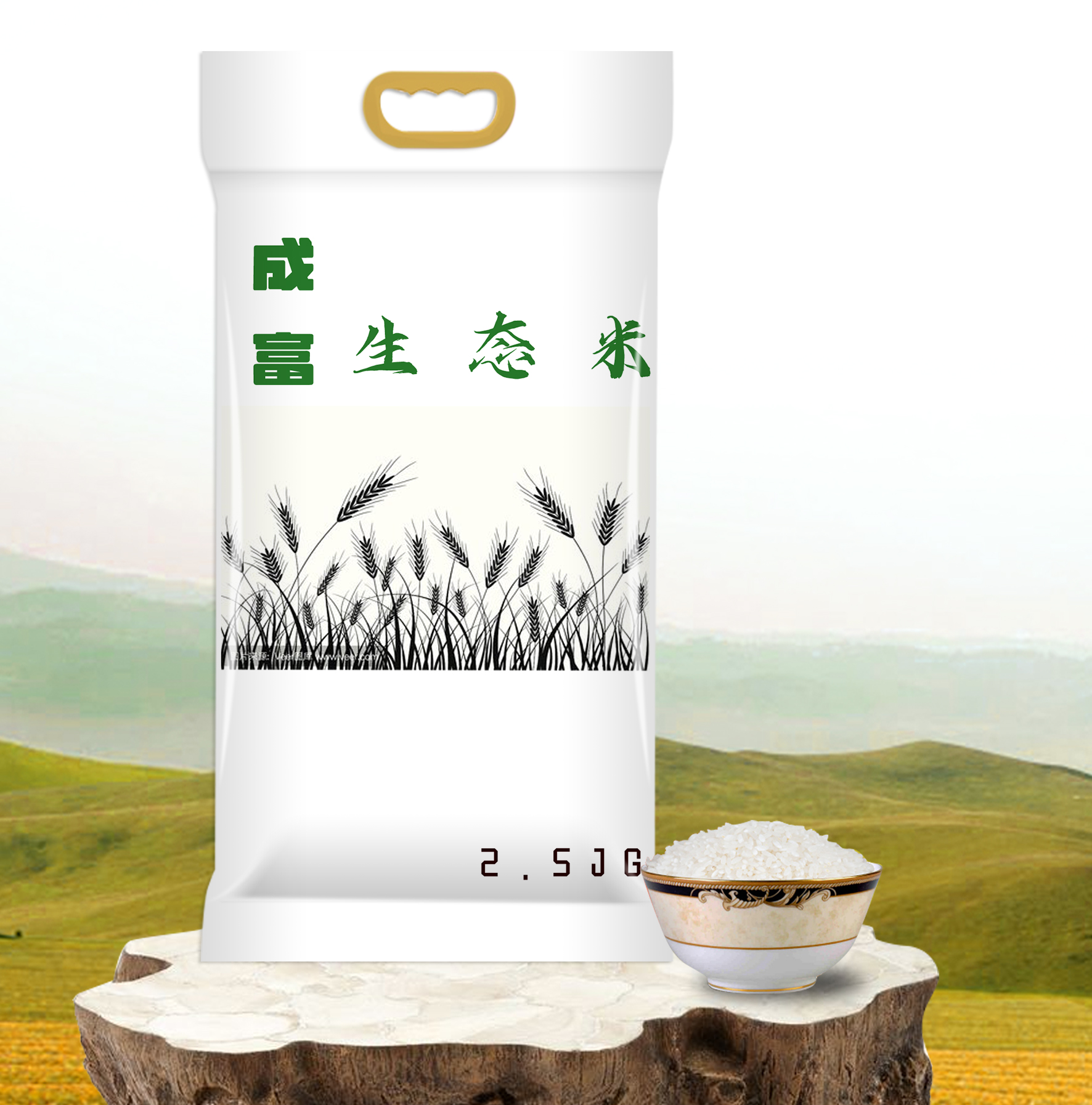 成富米 (2).jpg