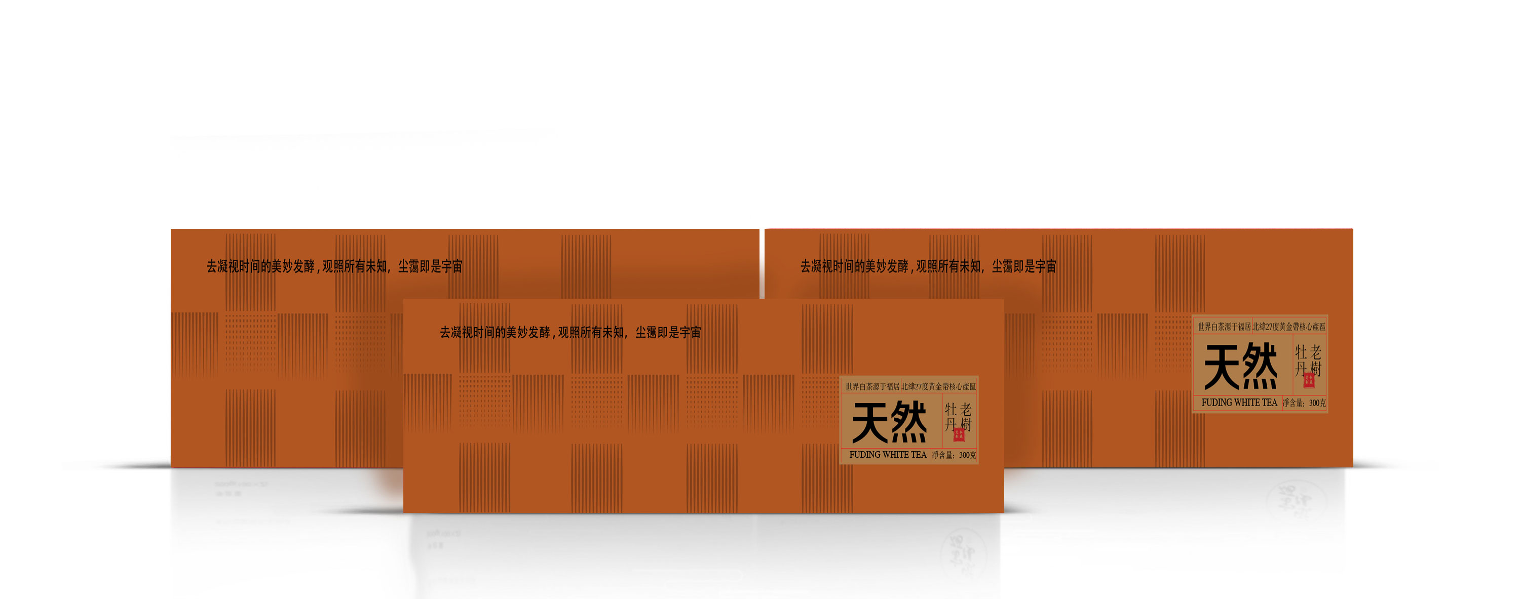 天然01_01.jpg
