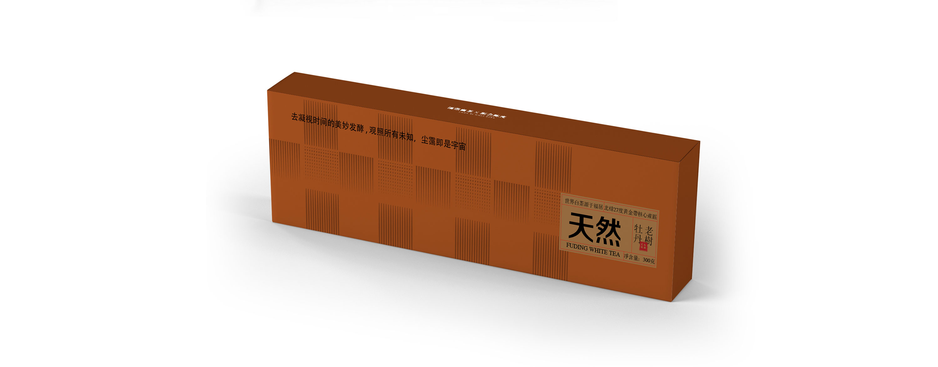 天然01_02.jpg