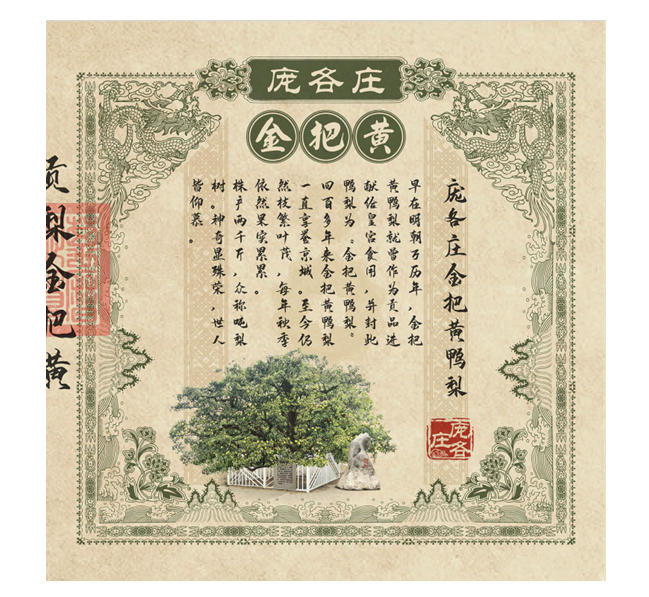 1726104842430.png